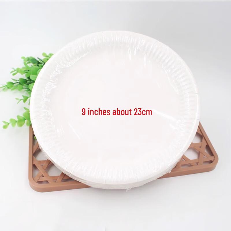 Miao Jiayi 9-inch Disposable Round Paper Plates, 50-Count