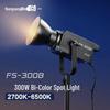 NANLITE FS-300B Bi-Color LED Studio Light