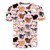 Anime Studio Ghibli Spirited Away 3D Printed Children T Shirt Totoro Harajuku Short Sleeve Shirt Summer Street Casual Tshirt