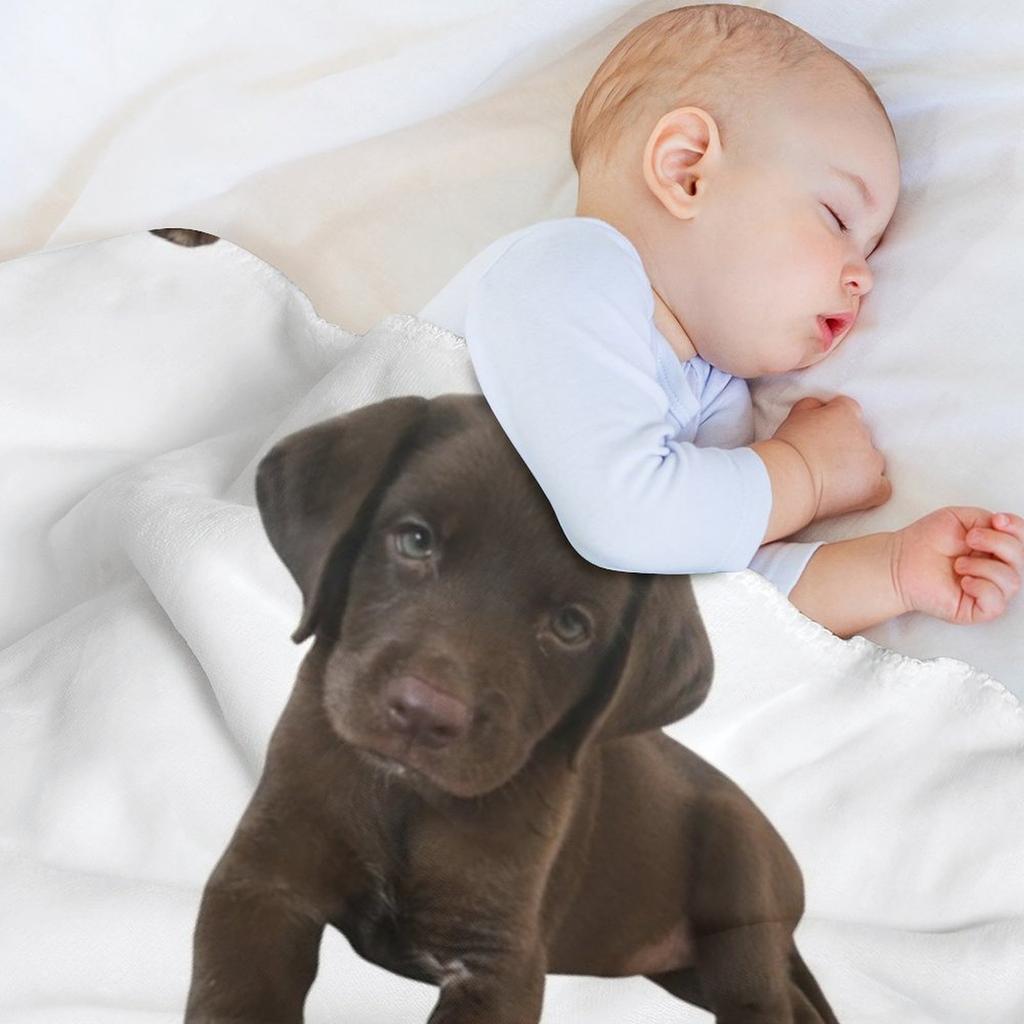 Schokoladen Labrador Überwurf Weiche Komfortdecke zum Lesen Fernsehen