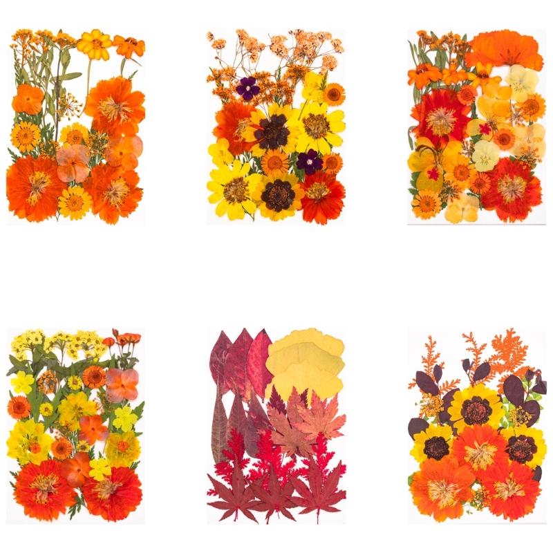Natural Dried Flower For Epoxy Resin Molds Dry Flowers and Leaves Set for Art Craft Candle Jewelry Making Scrapbooking