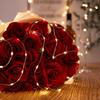 Guangduola LED Decorative String Lights