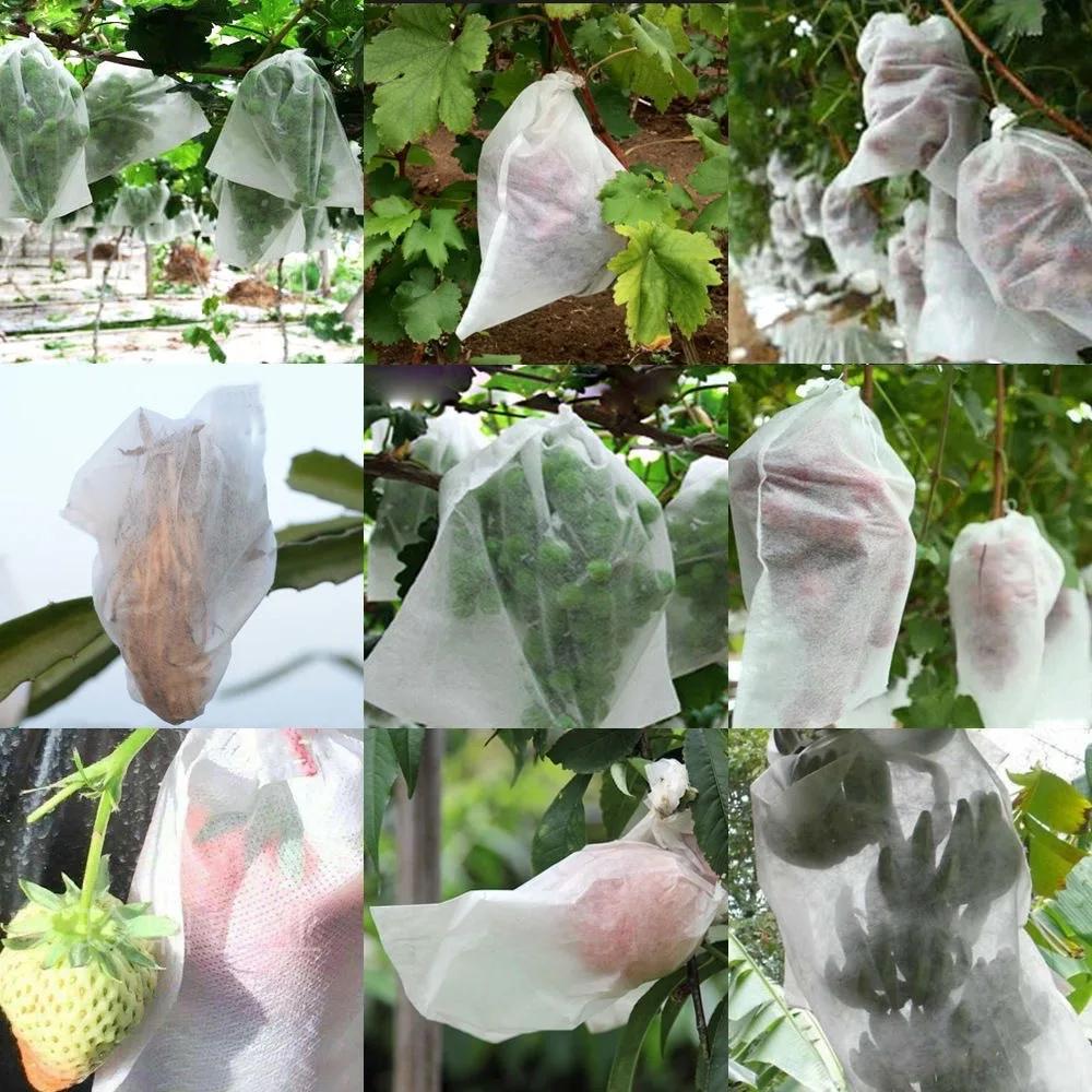 50pcs Grape bagging Non-woven fabric Insect control Bird prevention Rainproof Fruit specific bags Protective bag