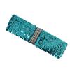 Female Sequin Waist Belt Fashion Elastic Waspie Belt Universal Waspie Dress Decorative Accessories Glittering Waistband