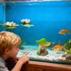 Fish Tank Statue Under Water Sculpture Fish Tank Mushroom Decoration For Living Room Bedroom Study Room Restaurant Apartment