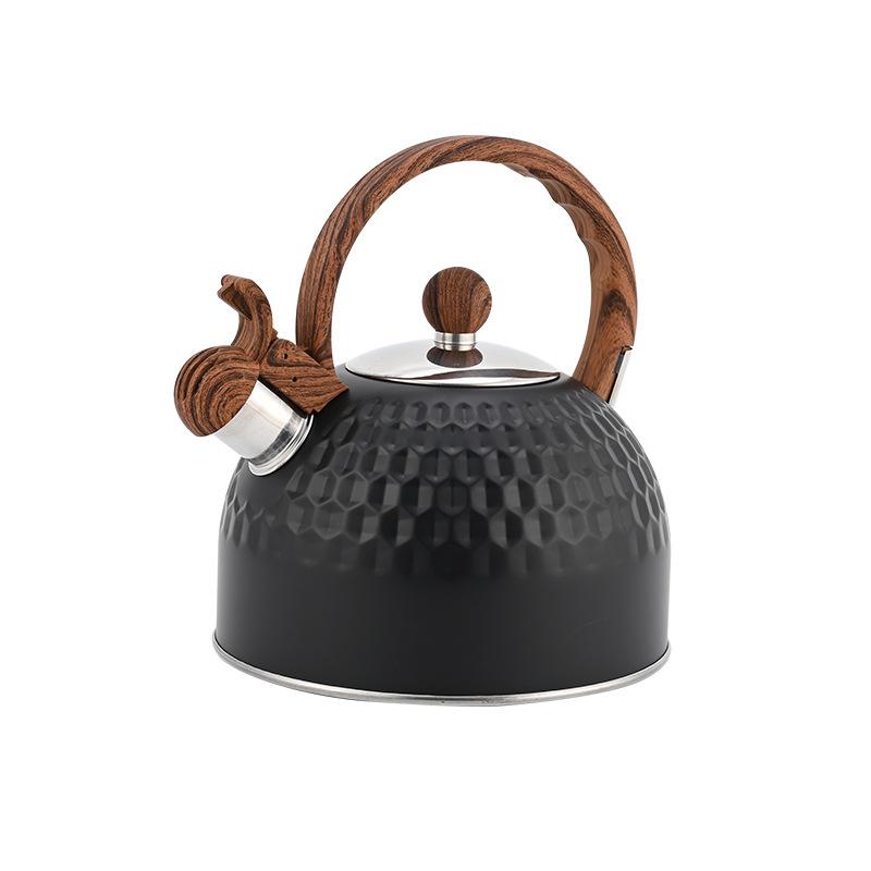 Induction Cooker Stainless Steel Blowing Gas Kettle Commercial Blowing Kettle 2.5l black