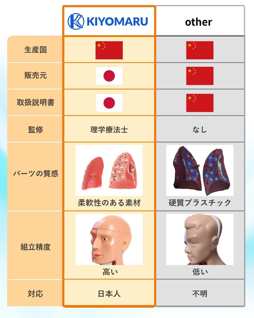 KIYOMARU 27cm Anatomical Human Body Model: Soft Texture, 15 Parts, Supervised by a Physical Therapist, Includes Auxiliary Magnets and Japanese Instruc