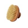 Hot Selling Beech Sisal Cactus Plant Fiber Brush Slimming Massage Brush Bath Brush Bathing Brush Back Rub