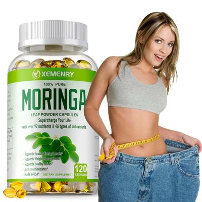 Moringa - Boosts Energy, Metabolism and Immune Support