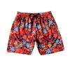 Costume da Bagno da Uomo Brand Tartaruga Shorts da Nuoto Estivi Asciugatura Rapida Pantaloncini da Spiaggia Con Tasche Laterali e Fodera in Rete Costumi da Bagno