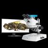 Dispozitive optice – Microscoape