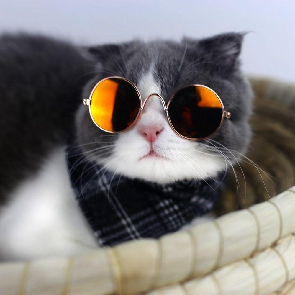 Photos Props Trend Toys For Little Dog Cat Cat Glasses Pet Sunglasses Eye-wear Reflection Glasses