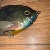 Used bull shooter jr 10th anniversary depth