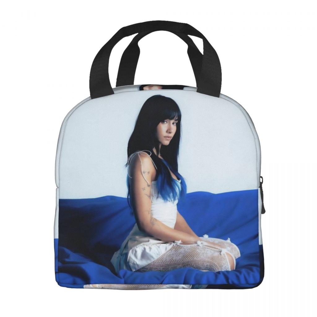 Singer Aitanaed Cuarto Azul Accessories Insulated Lunch Bag For School Office Food Storage Bag Reusable Cooler Thermal Lunch Box