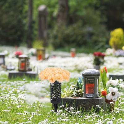 Artículos de fiesta – Suministros para fiestas