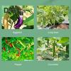 100/200/300 Pcs Plant Clips Plastic Plant Support Clips Reusable Tomato Trellis Clips for Climbing Plants Vines Cucumbers Indoor Outdoor Use