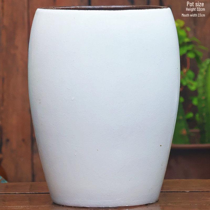 Large Coarse Ceramic Succulent Pot: Tall, Breathable, for Bougainvillea & Birds of Paradise