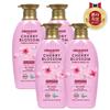 ORGANIST Kirschblüte Feuchtigkeitsconditioner 500ml x 4
