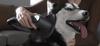 Xiaomi Vacuum Cleaner G20 Max Cordless Vacuum Cleaner