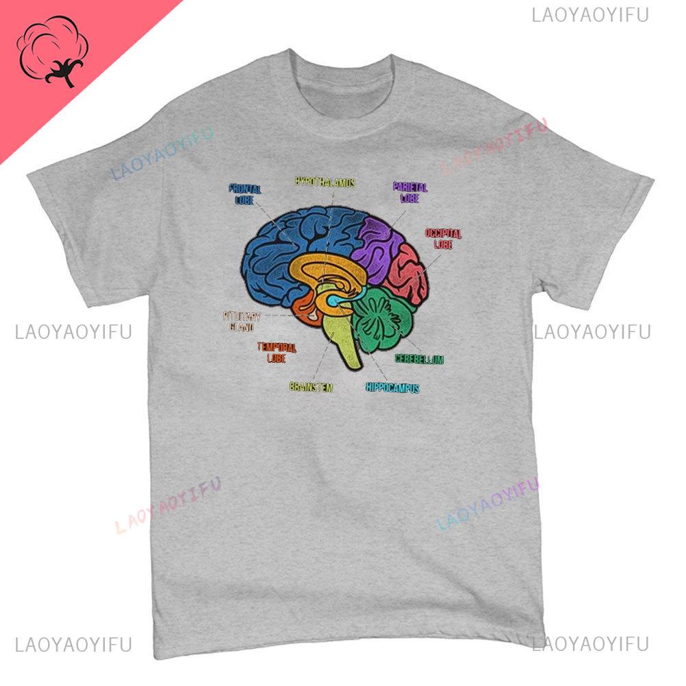 Funny Part of The Brain Color Chart High Quality Tshirt Neurology Print Harajuku Unisex Summer Short Sleeve Gift Tshirt Tops