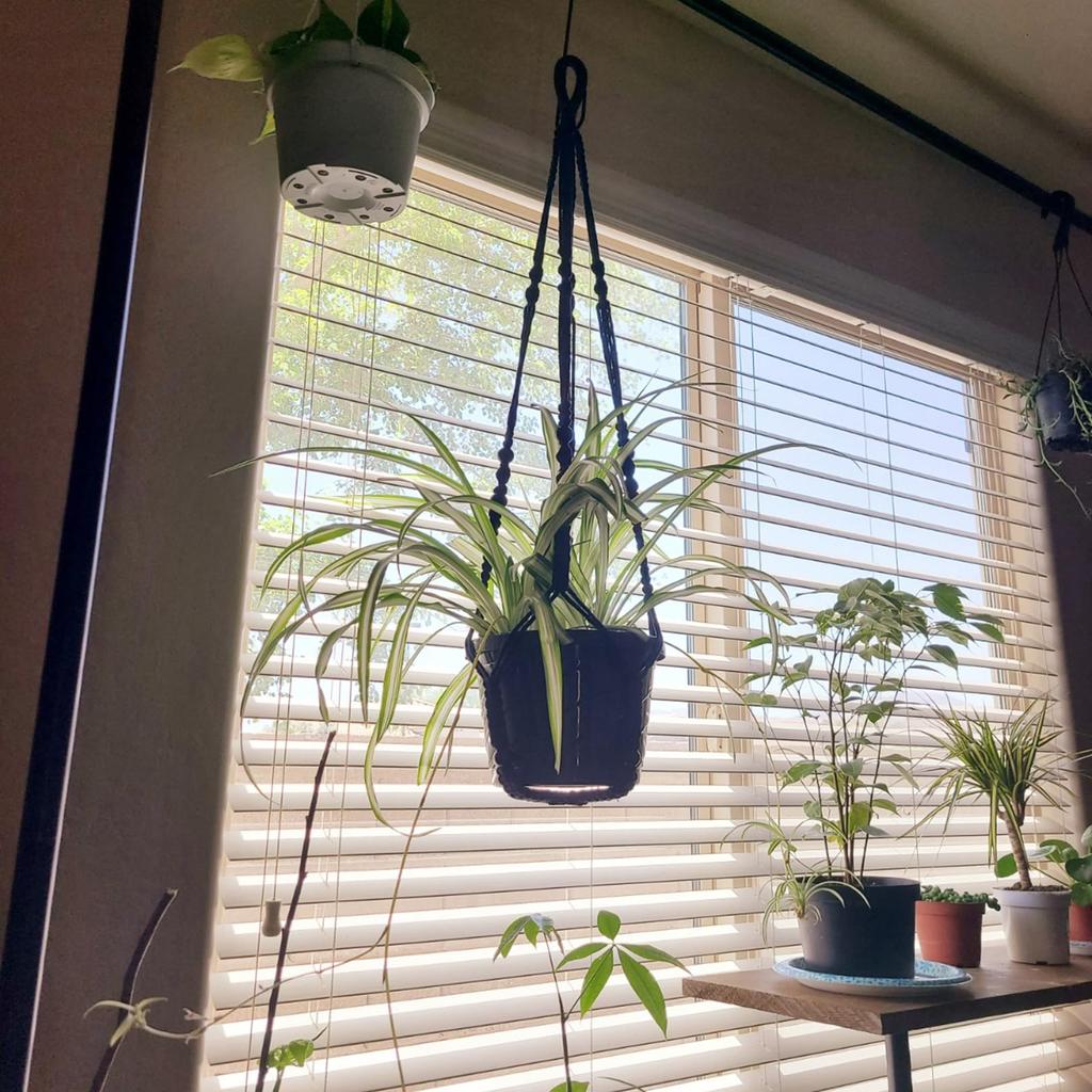 AKEIE Macrame Plant Hanger 3 Pack for Indoor Outdoor Wall Hanging Planter 3 Hooks Hanging Planter Basket Cotton Rope 100cm with Beads No Tassels