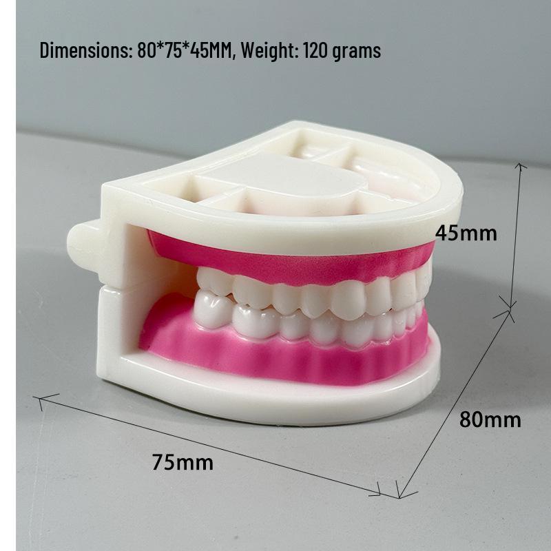Dental Implant Teaching Model & Toothbrush Preparation Resin Mold