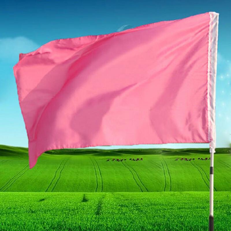 De'aite Plain Color Flag for Poles (10-pack)