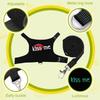 Bearded Dragon Leash and Harness Adjustable - Bearded Dragon Leash and Harness Set with Lizard Luminous Leash for Amphibians Chameleons Small Pet