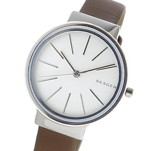 Skagen Women's Quartz Watch SKW2479 Silver [Parallel Import]