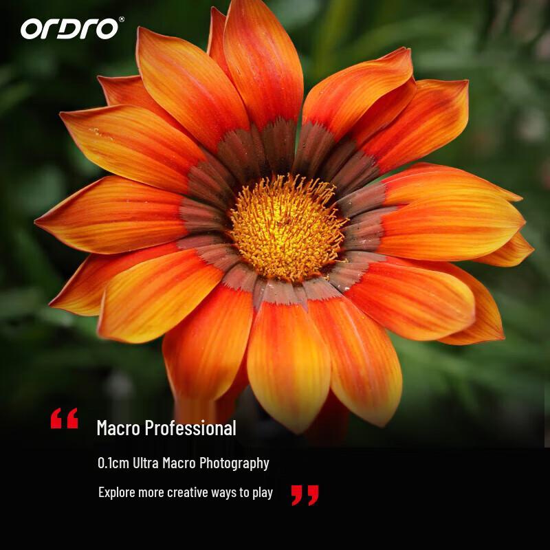 ORDRO 4K Professional Digital Video Camera (CN version)