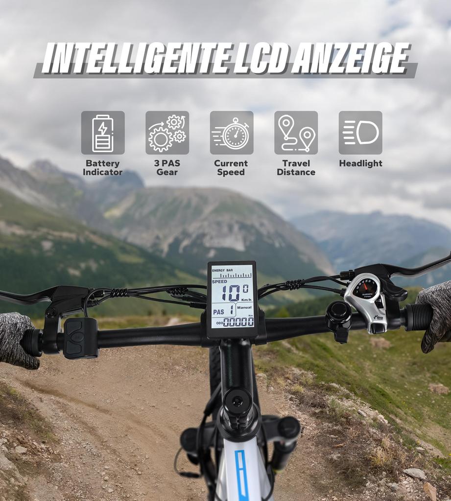 VARUN S26-1 26" X 4.0" Fat Tire Electric Mountain Bike with 48V 16AH Removable Battery