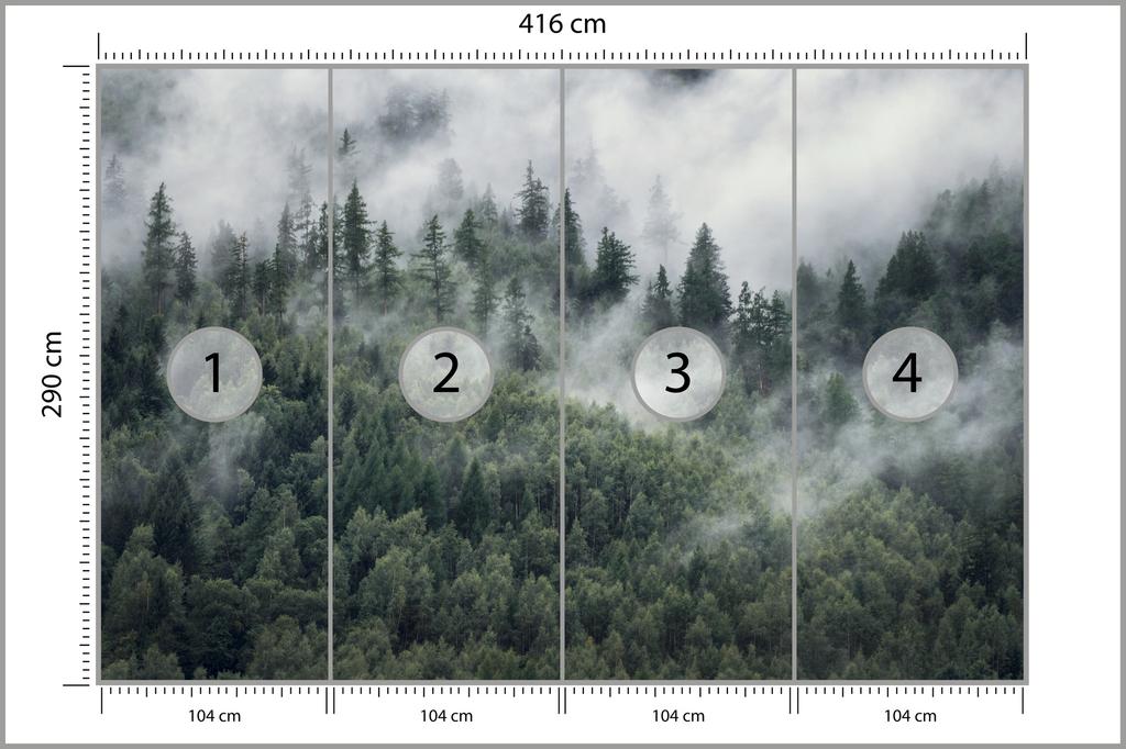 Photomural Forest In The Morning Mist Non-Woven 416x290