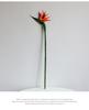 Large Artificial Rubber Bird of Paradise Flower for Home Decor & Wedding Photography
