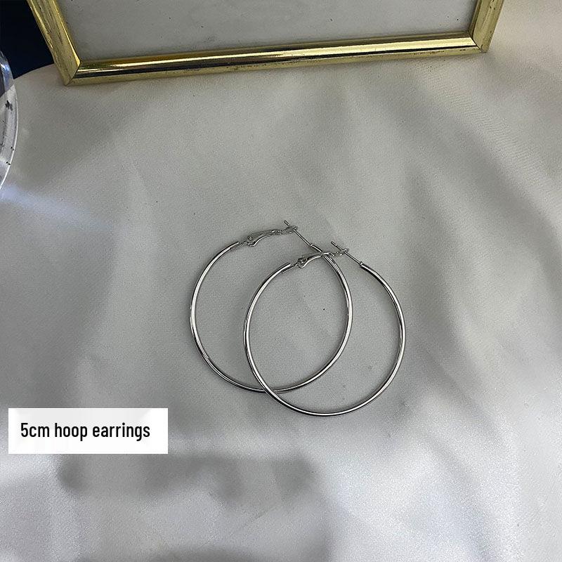 Women's High-End Plain Hoop Earrings: Light Luxury Ear Drops & Studs, Niche Design for Autumn/Winter.