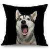 Black Background Dog Puppy Portrait Vizsla Husky Shepherd Shibu Cute Sofa Pillow Case Home Decorative Cotton Linen Cushion Cover