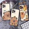Cartoon Capybara Phone Case For IPhone 17 16 15 14 11 12 13 Mini Pro XS Max Plus Funda Shell