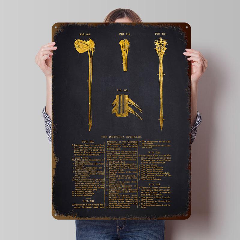 Vintage Medical Illustration Tinplate Posters Customizable Wall Art Retro Vintage Metal Signs for Home Room Decoration Aesthetic 20X30CM