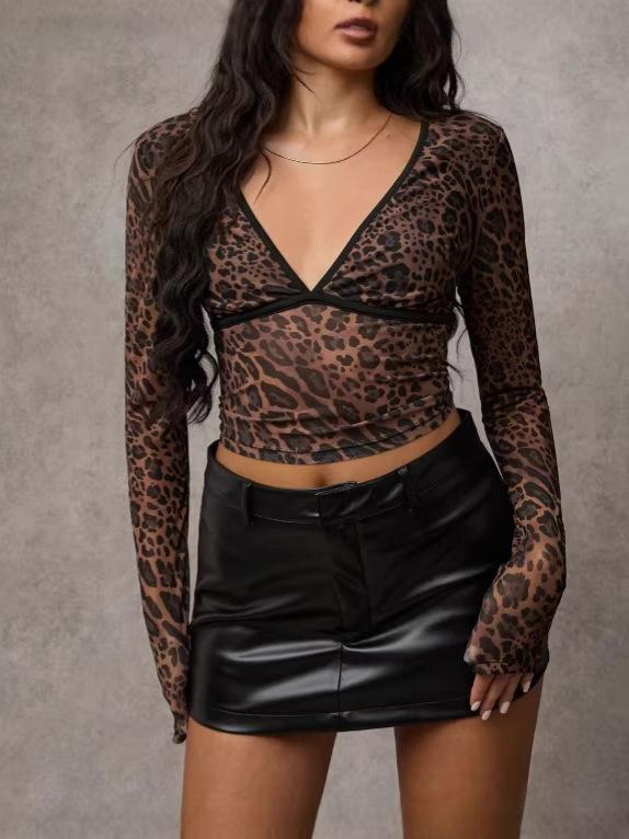 TEMU Foreign Trade 2026 Y2k New Deep V Transparent Leopard Print Mesh Printing Elegant Women's Long-sleeved Top