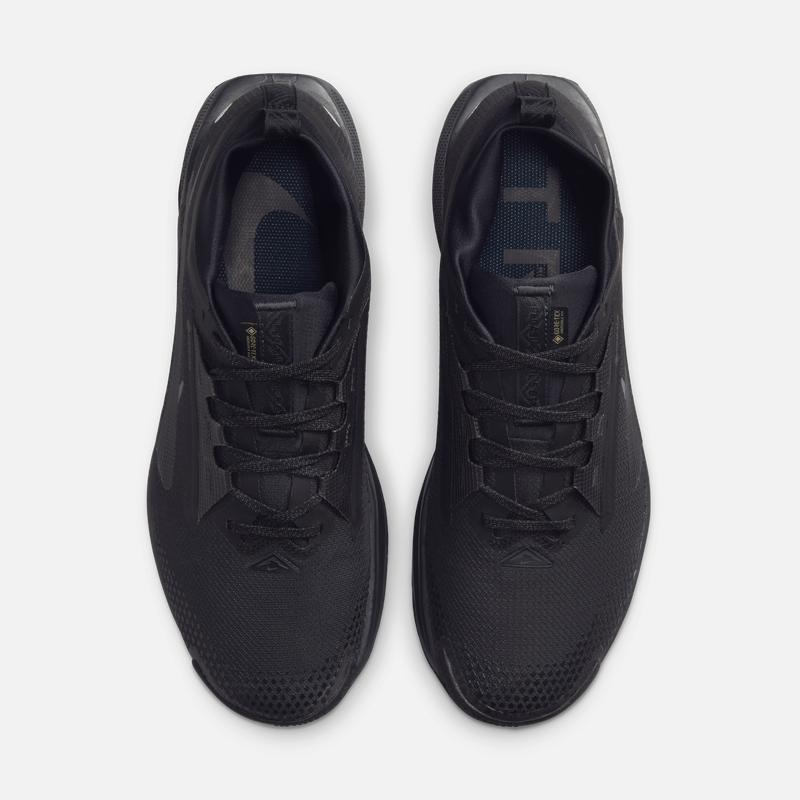 Nike Pegasus Men's Outdoor Running Shoes Spring NIKE PEGASUS TRAIL 5 GORE TEX FQ0908