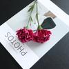 6Pcs Faux Silk Flower Material Artificial Carnation Flower Realistic No Watering Anti-fade Fake Flower DIY Gift Mother Day Adult Sex Wear
