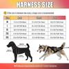 Dog Outdoor Sled Harness Medium Large Dog Weight Training Traction Strap Husky Samoyed Alaska Ski Leash Snowboard Chest Strap