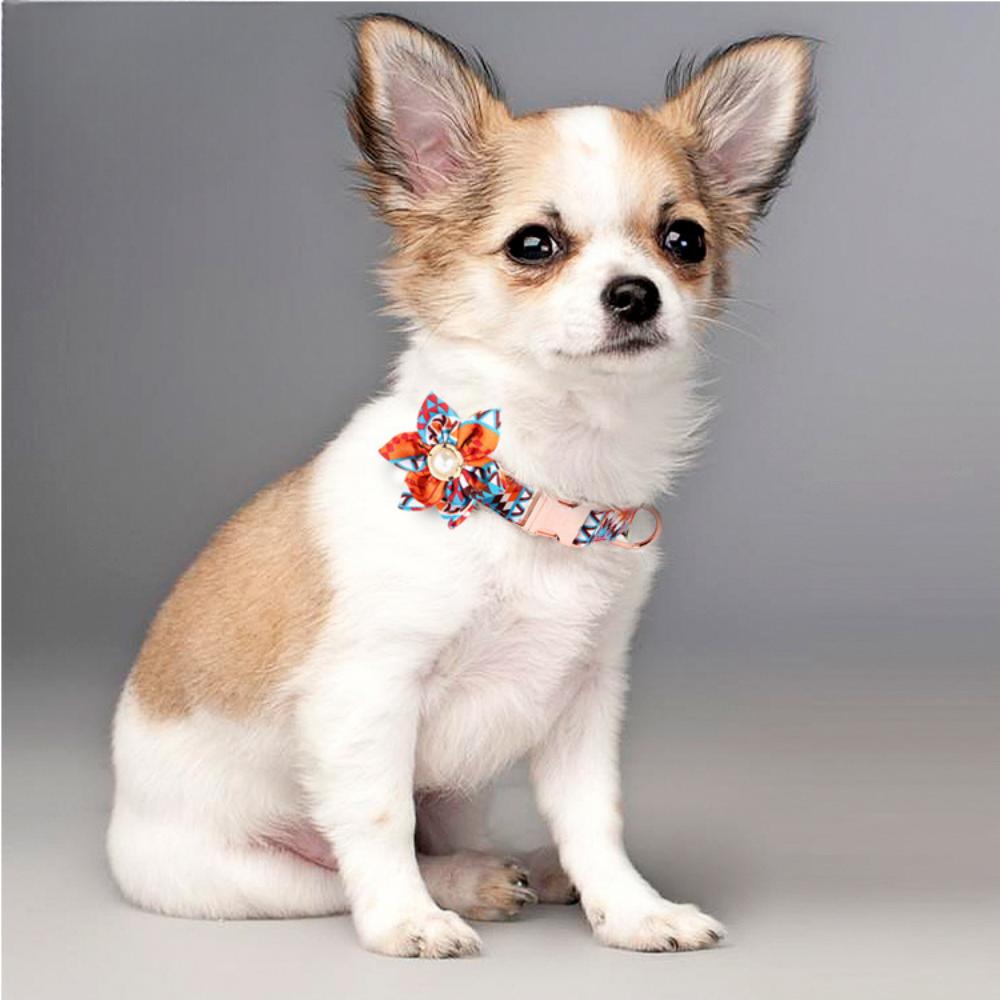 Pet Dog Ethnic Style Flower Metal Buckle Collar