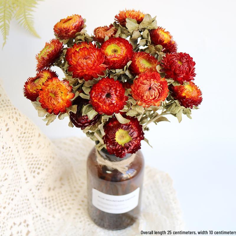 Daisy Dried Flower Bouquet for Living Room and Bedroom Décor - Natural Yunnan Flowers for Display or Photo Props