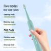Ebonee P2A Series Disinfecting Sonic Electric Toothbrush