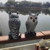 Owl Decoy Garden Ornament - Bird & Mouse Repellent