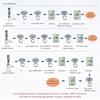 2026+ TDS / PH / TEMP Three in One Test Pen Ph Pen Ph Water Quality Test Pen
