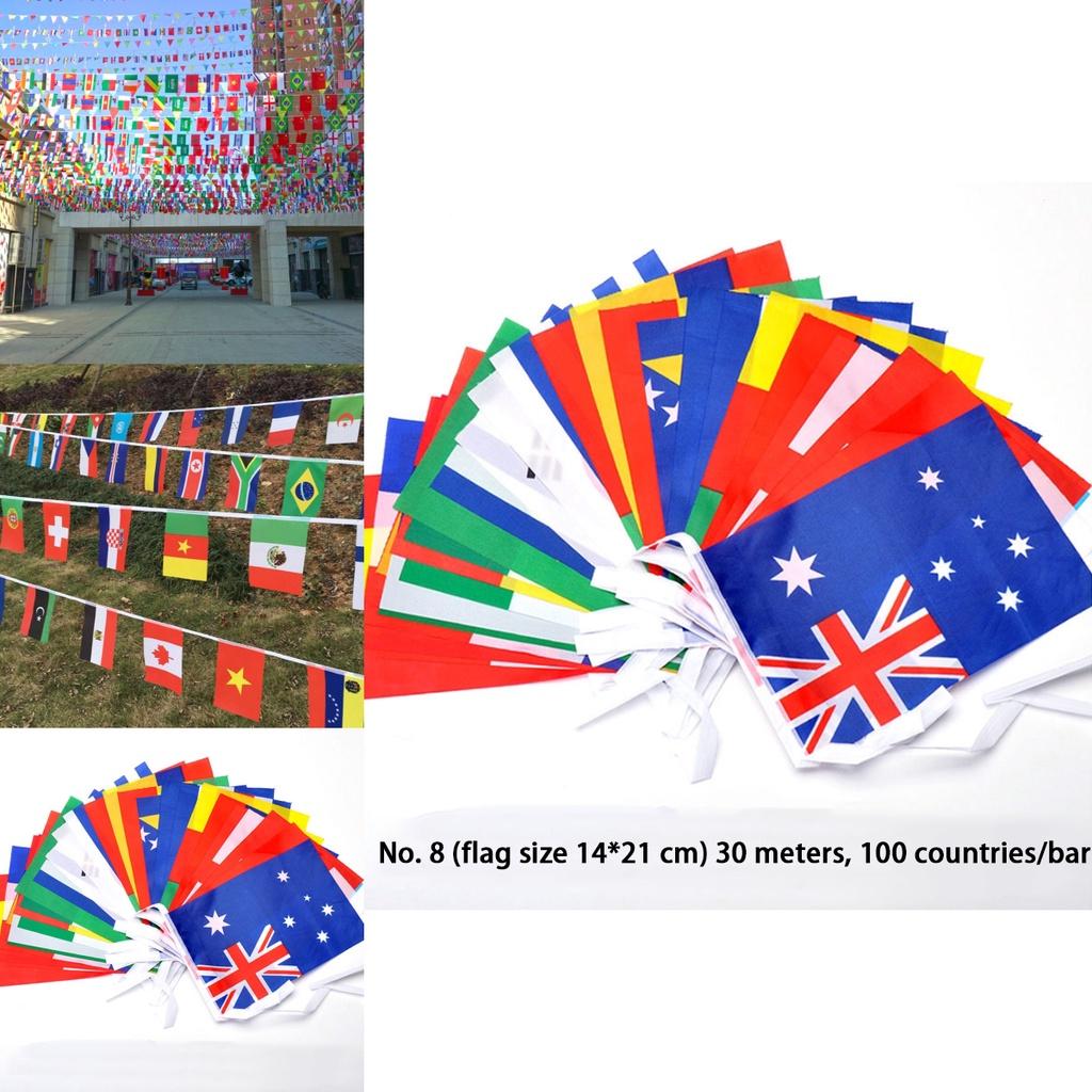 Multi-cultural Party Hanging Decor 50-100pcs Flags Of Different Assorted Countries