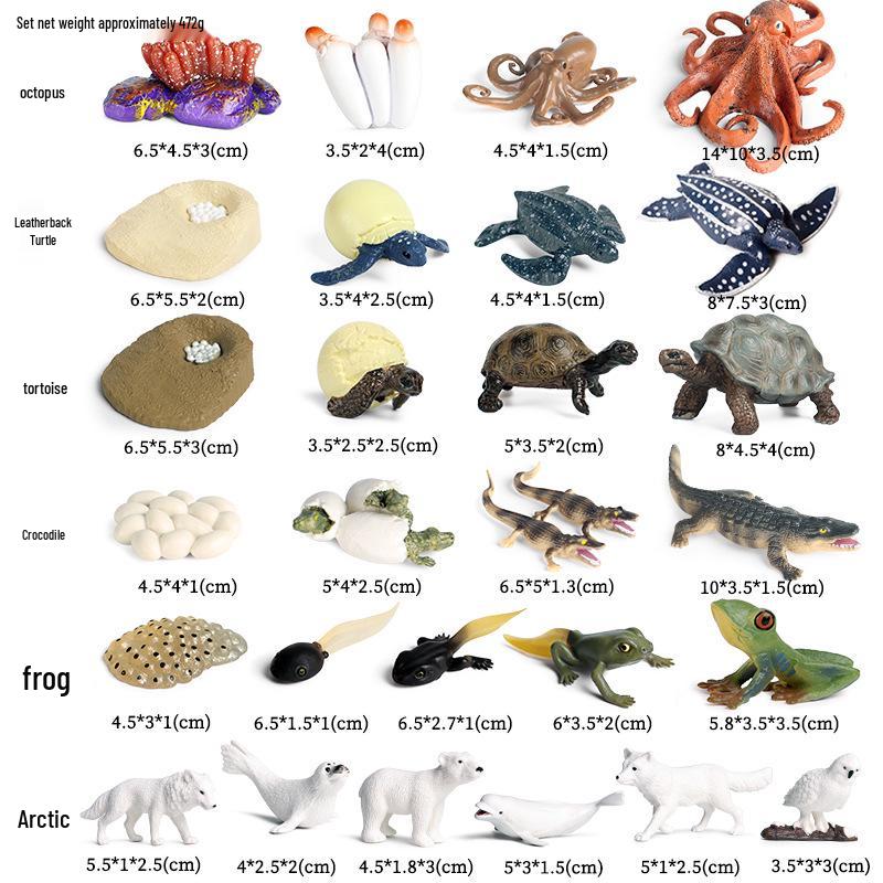 Children's Animal Simulation Toy Set: Eagle, Falcon, Secretary Bird, Owl Figurines