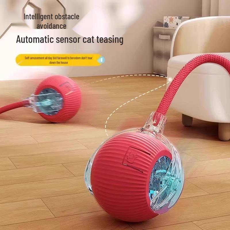 Automatic Dog Walking & Bite Resistant Toy Ball for Pet Exercise & Entertainment