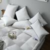 Dunpute 100 % gåsedunfjær Husholdningsgåsedunpute Enkel størrelse femstjerners hotellpute for å hjelpe sovepute